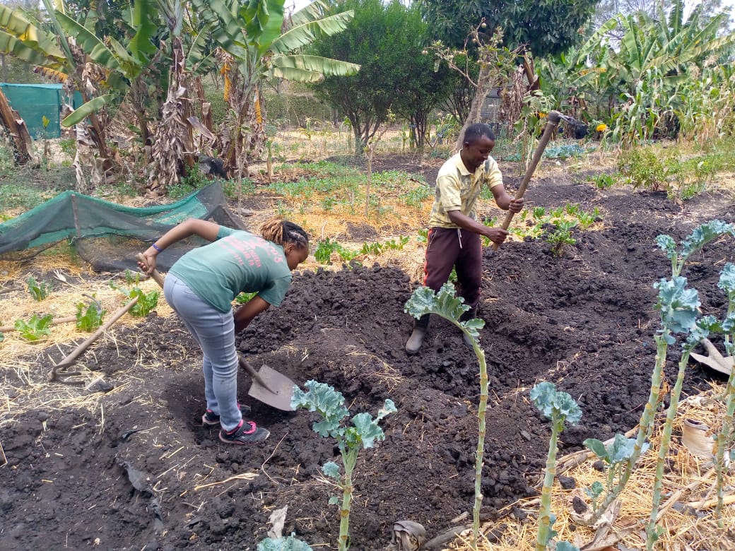 zai-pit-community-sustainable-agriculture-and-healthy-enviroment