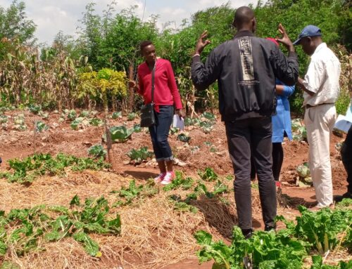 International Network of Agroecology Living Landscapes (INALL)