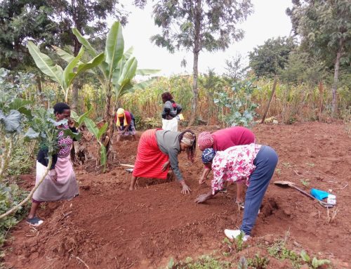 Training with the Tumaini Group from the Kamangu Region