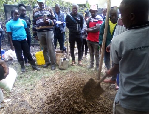 Growing Together in Agroecology! 