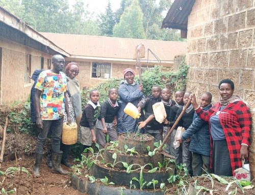 Growing Skills, Growing Food